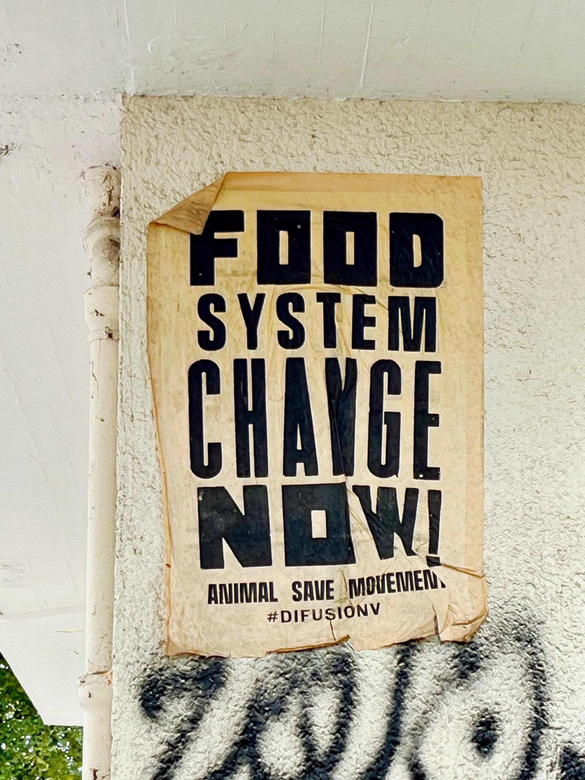 To feed the generations to come, we need alternative farming solutions. In face of climate uncertainty, food insecurity, and supply chain disruptions, we want to redefine how to produce and consume food. 