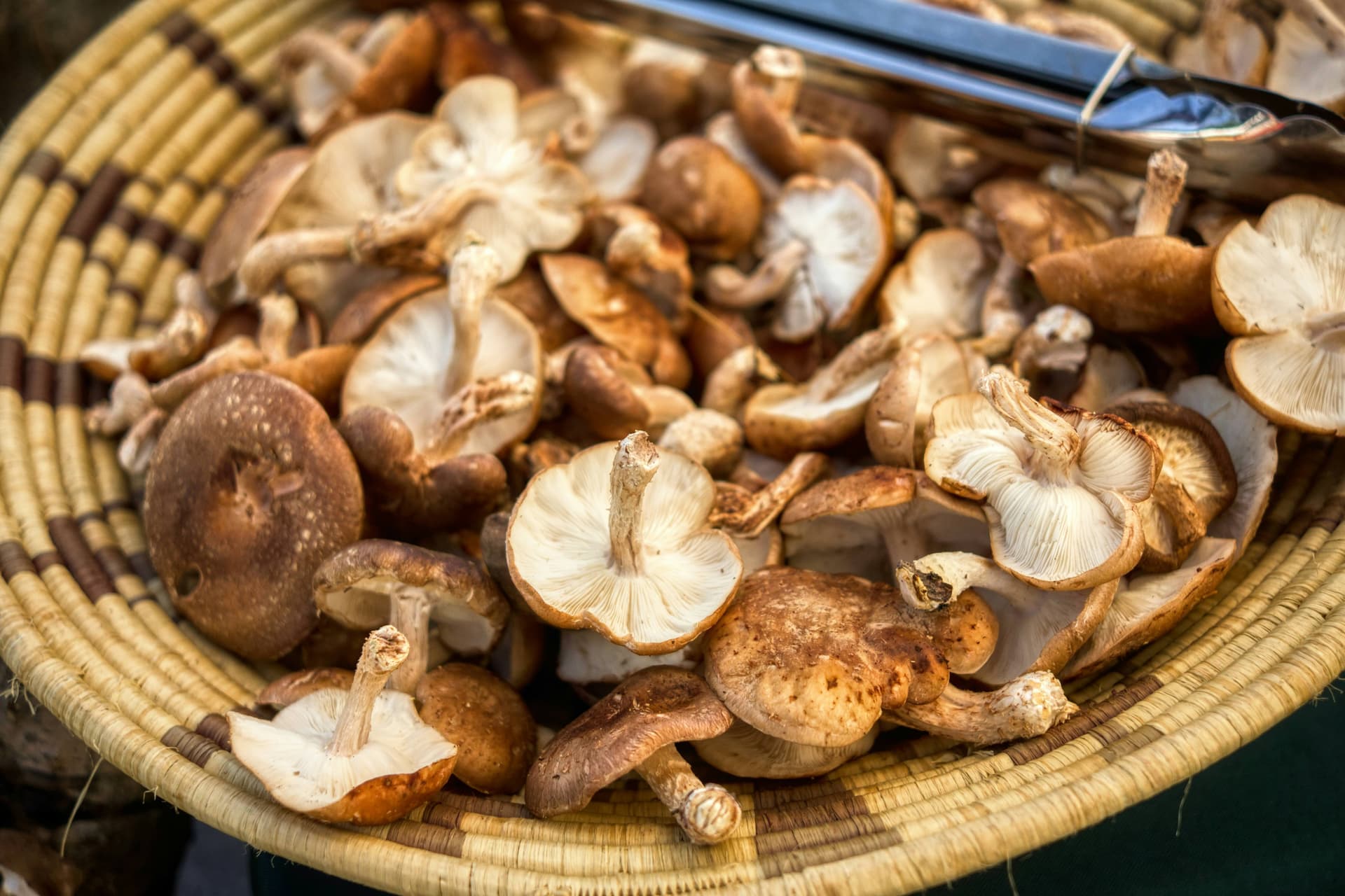 Shiitake: Umami Bomb and Immune Booster.